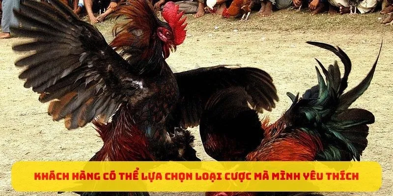 Khách hàng có thể lựa chọn loại cược mà mình yêu thích