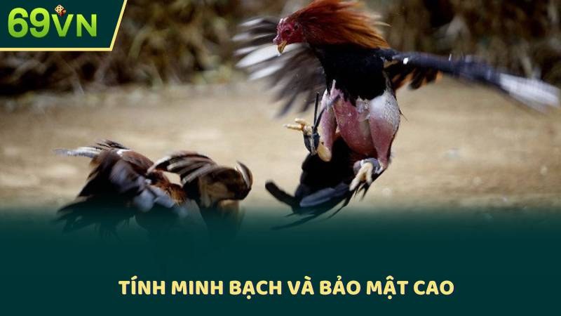 Tính Minh Bạch Và Bảo Mật Cao